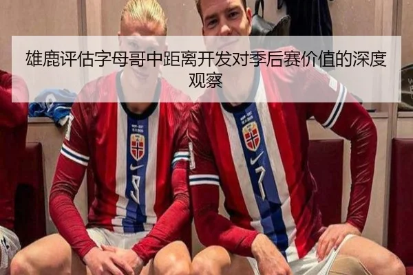雄鹿评估字母哥中距离开发对季后赛价值的深度观察