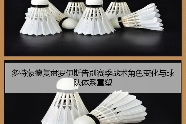 多特蒙德复盘罗伊斯告别赛季战术角色变化与球队体系重塑