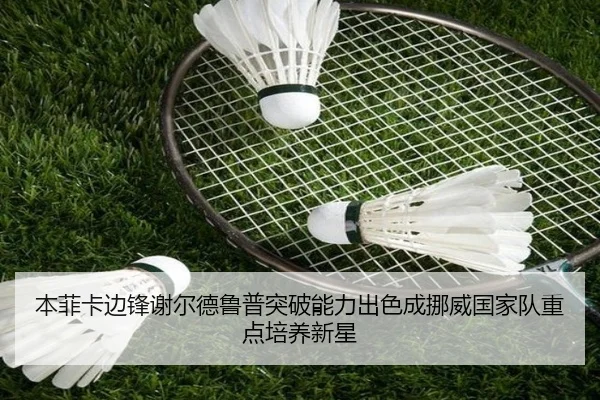 本菲卡边锋谢尔德鲁普突破能力出色成挪威国家队重点培养新星